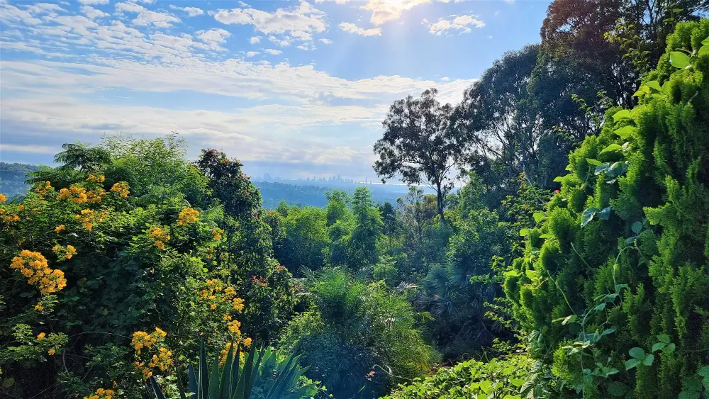 Trees and white clouds with a scenic view of Surfers Paradise. Photo taken at the Panorama in Tallai mountains